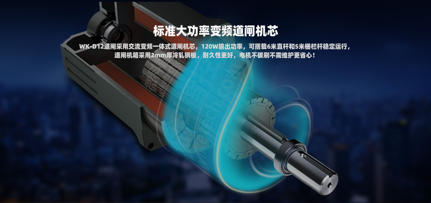 湖南道閘 湖南道閘